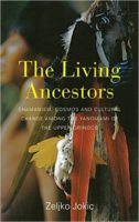 A Phenomenological Account of Yanomami Shamanism