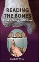 Of environment and genes: How to address bones’ morphological variability