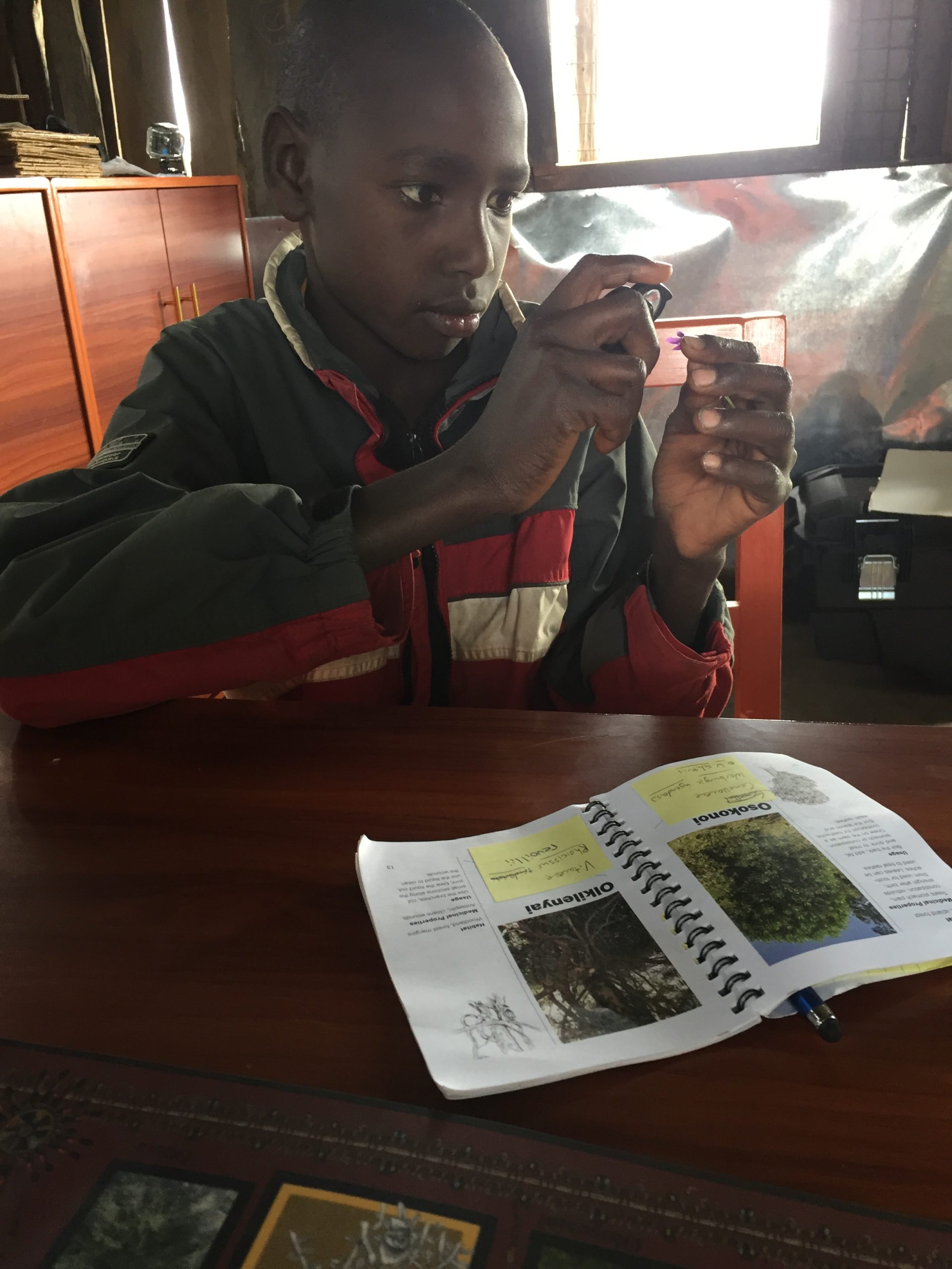 Photo of a child studying